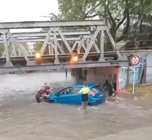 Descripción de la imagen