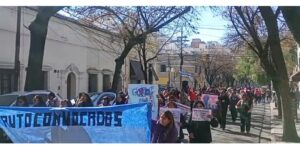 Descripción de la imagen
