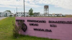 Descripción de la imagen