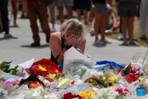 Descripción de la imagen