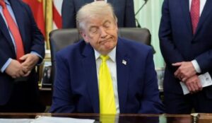 Descripción de la imagen