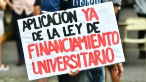 ¿Cómo nos preparamos les estudiantes universitarios hacia el 15?