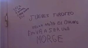 Descripción de la imagen