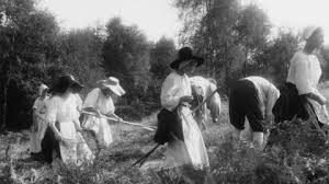 Descripción de la imagen